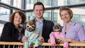 Carlow children raise a huge €5,200 for autism support by wearing their Pyjamas! 
