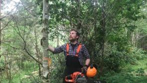 Inishowen forestry and compost producers shortlisted for RDS Awards