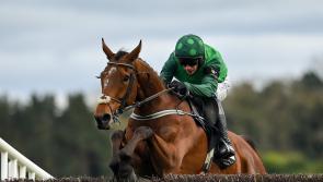 Mullins bids to emulate Irish racing legend Vincent O’Brien this weekend 
