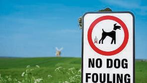 'Fines are needed' to curb dog fouling problem in Tipperary