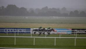 Replacement Flat meeting will be held at Tipperary Races next month