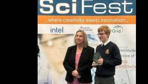 Analysis of fatalities on roads wins Tipperary's SciFest 2024 for Rockwell College student