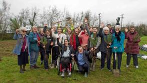 Tipperary convent does its bit to combat climate change by planting 1,200 native trees 