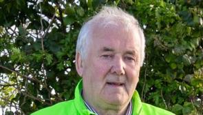 Abbeyleix campaigner joins crowded field of Laois independent candidates