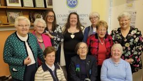 New team leads the way for Laois ICA