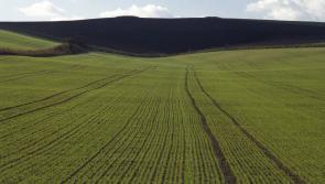 Leitrim average land prices range from €4,000 per acre for poor land to €7,978 for good