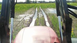 €1.6 million windfall for Laois tillage farmers hit hard by bad weather 
