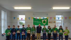 Roscrea author who was founding Principal of Coolderry school returns with books