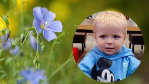 Deep sadness at death of Little Blue Hero, Honorary Garda Eoin Arnold, Frosses