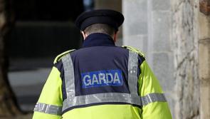 Gardaí appeal for sightings of a white van following trailer theft 