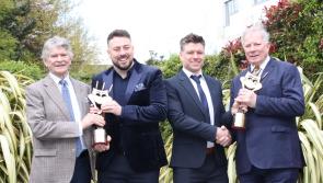 Talented Tipperary artists humbled to receive prestigious awards