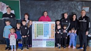 Carrick-on-Suir GAA clubs receive communications boards to help kids with special needs