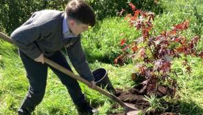 Portlaoise College plays its part for  climate action