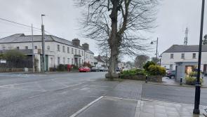 People swap plants to encourage the growing of food