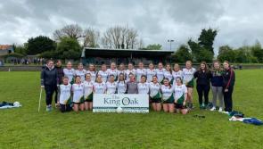 Strong finish sees Ballinamere/Durrow crowned Division 2  champions