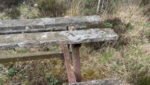 Local election candidate slams failure to maintain Lough Boora Discovery Park