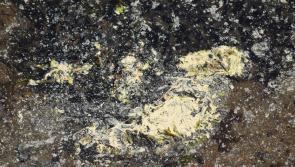 Grave concern over 'yellow substance with chemical odour' in water at Mountcharles