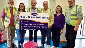 Longford TidyTowns groups attend insightful engagement event in Edgeworthstown library