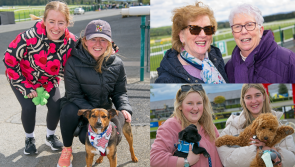 GALLERY: Kildare walkers all smiles at annual Punchestown Walking Sunday event