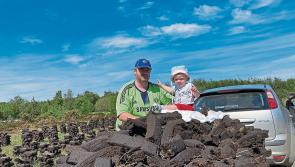 Open Laois invite to workshop on famous Portlaoise bog