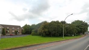 Developer seeks permission to build 28 new homes in Shannon