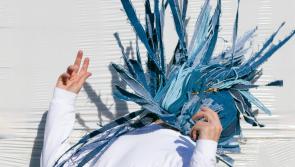 Carlow  artist Barry Fitzgerald announces new show for Carlow Arts Festival