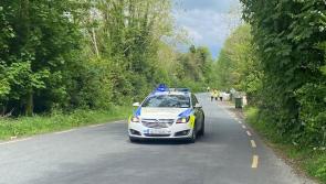 Search continues for missing Longford man