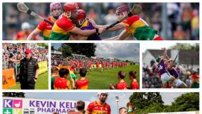 PICTURES:  Carlow hurlers miss out against Wexford in sun soaked Netwatch Cullen Park