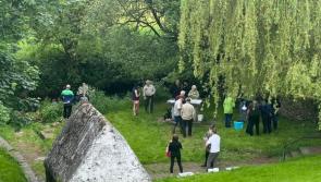 Large crowd gathers at historic Kenny's Well site in Kilkenny 