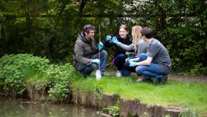 The first Great UK WaterBlitz launched to assess our rivers status