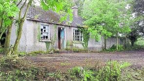 40 homes to be created in Laois on back of funding for derelict properties  