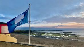 The black day Donegal lost all of its 'Blue Flags' in 1994 