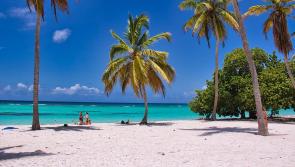 Irish holidaymakers put on alert for ‘unbelievable’ deals amid wave of scams