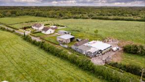 Residential farm in Offaly going up for auction in four lots this month