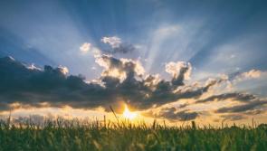WEATHER: 'Plenty of Sunshine' a nice forecast for the day ahead in Carlow?
