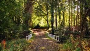 New: Almost €700k funding allocated for Portlaoise and Durrow walking and cycling trails