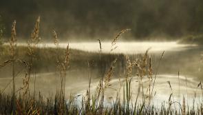 Popular Tipperary attraction granted huge amount in funding for improvements