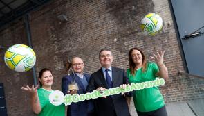 Waterford groups announced as County Finalists in National Lottery Good Causes Awards  