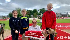 Greyhounds: Brilliance from Blaze in Track Bookmakers Final at Lifford