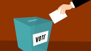 Nenagh Local Elections: A reminder of the top things to know before election day