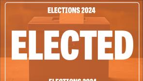 GALLERY: Meet the Kilkenny candidates ELECTED and ELIMINATED in the Piltown District 