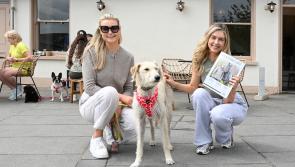 Our new Kilkenny Life magazine is proving a big hit on the streets of Kilkenny!