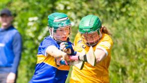 Tipperary defeat Antrim despite ringing the changes last Saturday
