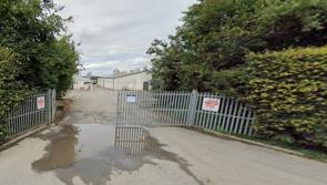 Laois pig farm plans expansion 