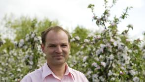 Tipperary strawberry grower welcomes the first harvest of the season