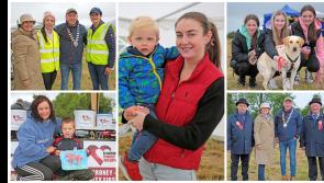 PICTURES | Big crowds flock to Longford to enjoy Ballinalee Connemara Pony Show