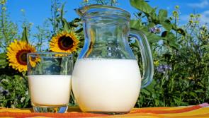 Local Tipperary village gets ready to host milk and butter market