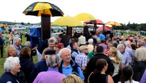 Watch: Save the date - the Ballintra Races are back this August Bank Holiday