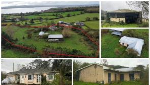 PICTURES: Tipperary cottage with lake views, stables, indoor arena and four acres for €320k
