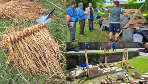 IN PICTURES: Builders showcase ancient construction methods at Offaly Heritage Show